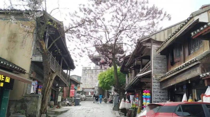 陶阿甘弹弹堂大作战